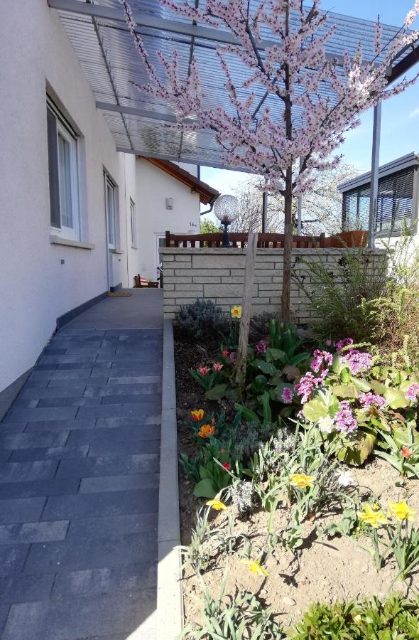 Ferienhaus Rauwolf Mit 2 Ferienwohnungen Roschbach Esterno foto