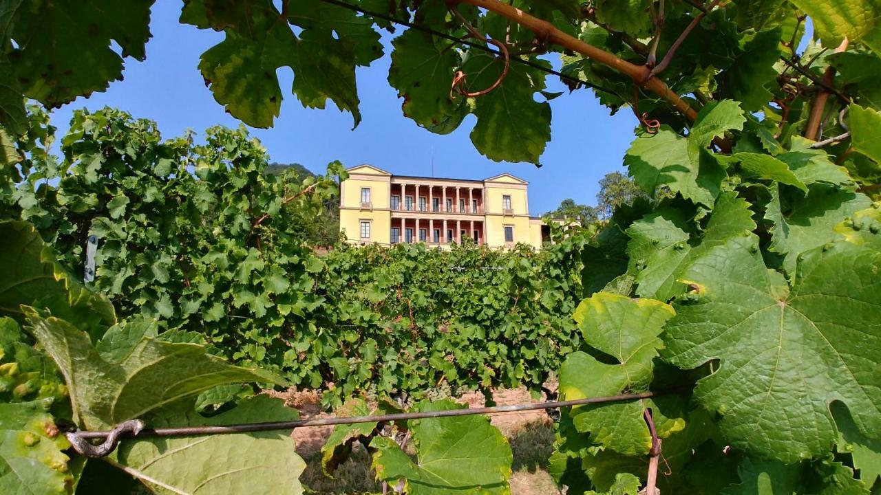Ferienhaus Rauwolf Mit 2 Ferienwohnungen Roschbach Esterno foto
